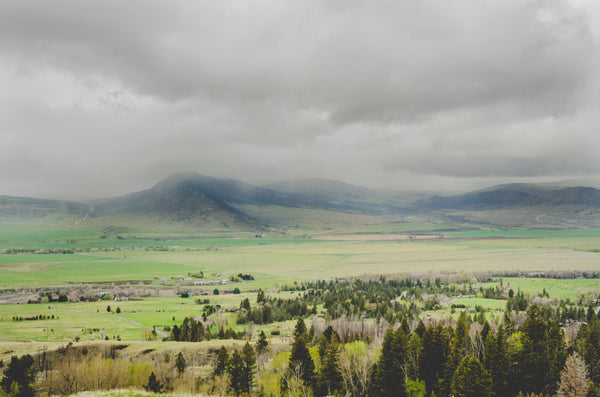 Our warmest wishes for a happy holiday season!