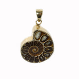 Charles Albert Alchemia Ammonite Pendant