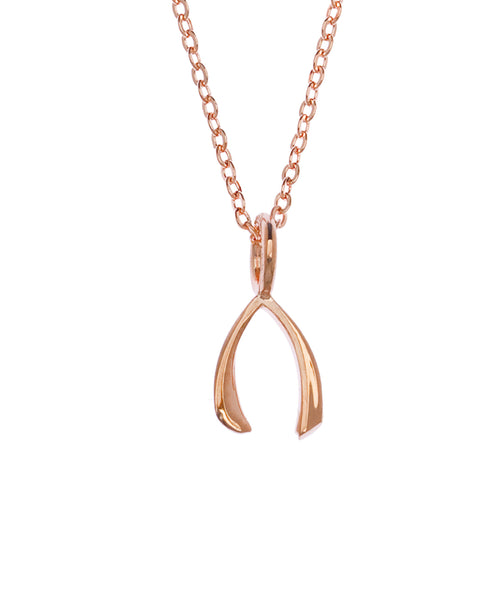 Samantha Faye Small Wishbone Pendant Necklace in Rose Gold