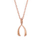 Samantha Faye Small Wishbone Pendant Necklace in Rose Gold